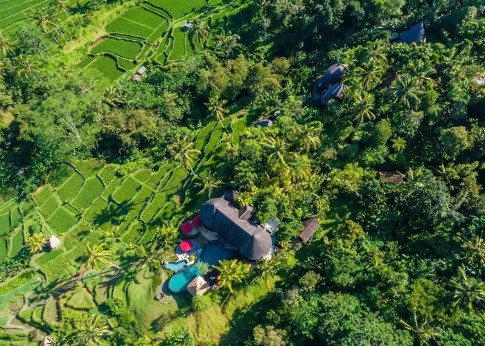 Resort Adiwana Dara Ayu Pacung