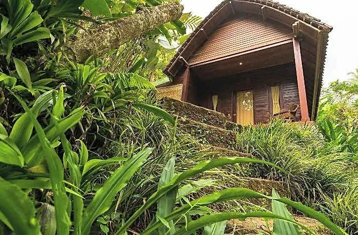 Resort Adiwana Dara Ayu Pacung