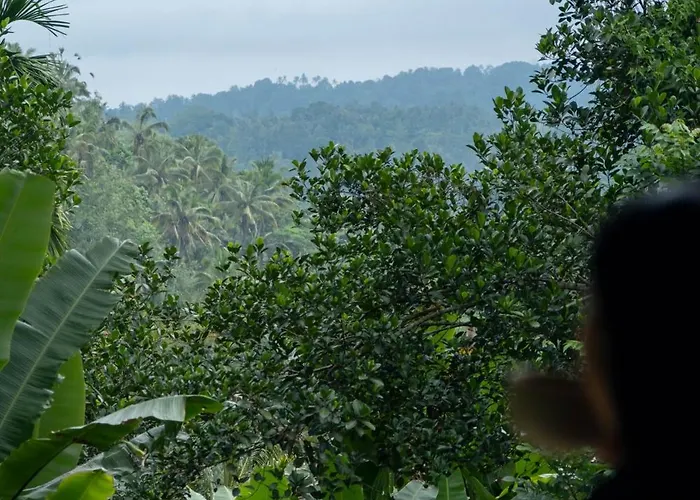 Adiwana Dara Ayu Resort Pacung